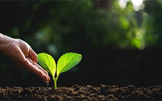 برامج إصلاح ذات البين