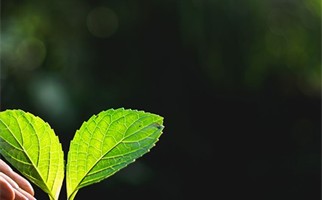 برامج إصلاح ذات البين